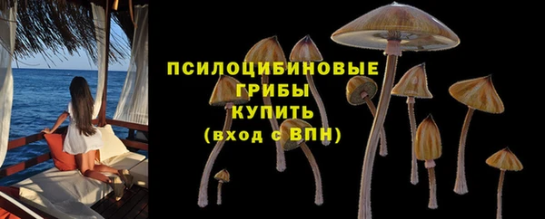 ПСИЛОЦИБИНОВЫЕ ГРИБЫ Армянск