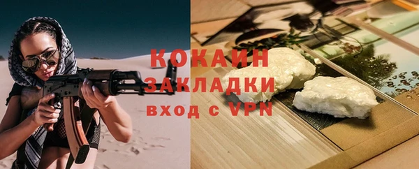 ПСИЛОЦИБИНОВЫЕ ГРИБЫ Арсеньев
