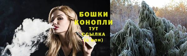 ПСИЛОЦИБИНОВЫЕ ГРИБЫ Арсеньев