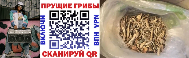 Галлюциногенные грибы MAGIC MUSHROOMS Саки